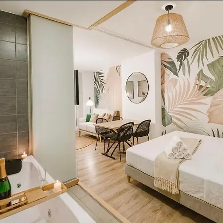 Lägenhet Tropicale Avec Baignoire Balneo Saint-etienne Saint-Etienne (Loire)