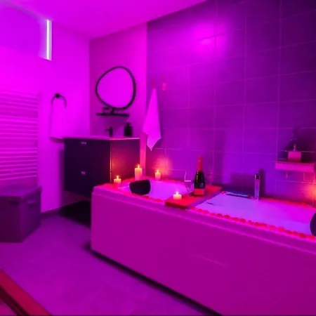 Apartment Tropicale Avec Baignoire Balneo Saint-etienne Saint-Etienne (Loire)